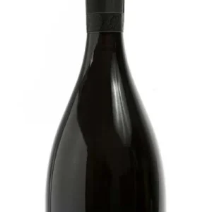 Spumante Lambrusco Dosaggio Zero Metodo Classico 2019 BIO-Ventiventi
