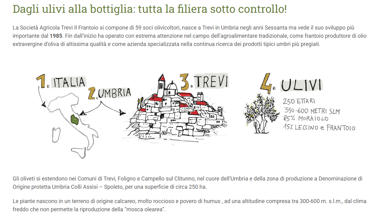 Olio Extravergine di Oliva Flaminio Delicato - immagine 4