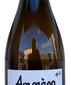 Cantine Barbera Ammano #11