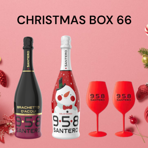 CHRISTMAS BOX 66 IN CONFEZIONE REGALO