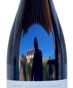 Berthaut Gerbet Pinot Nero Fixin 2021