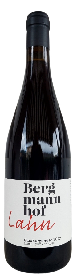 Bergmannhof Pinot Nero Lahn 2022 - immagine 2