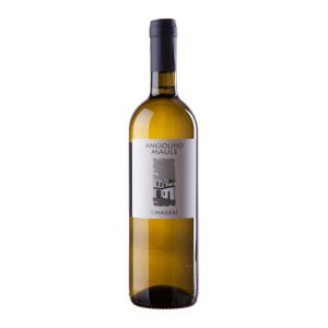 Masieri 2019 – La Biancara